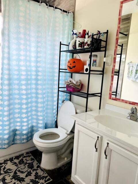 Room In Citrus Park And Carollwood, Close To The Airport & Downtown Tampa Exterior photo