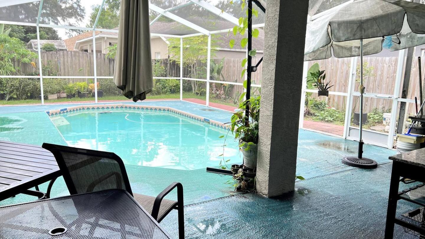 Room In Citrus Park And Carollwood, Close To The Airport & Downtown Tampa Exterior photo